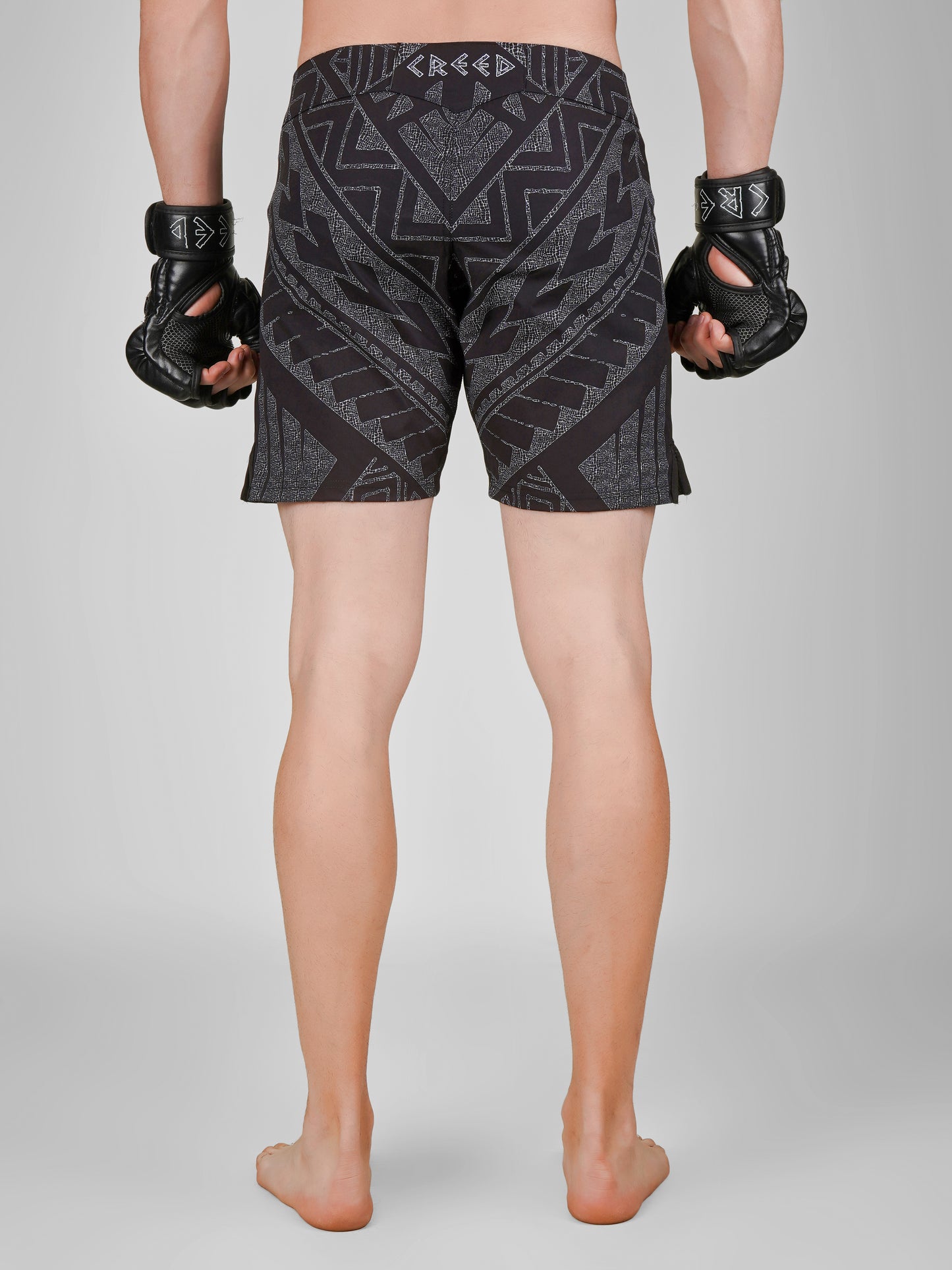 Creed Draco Fight Shorts – TĀ MOKO Design