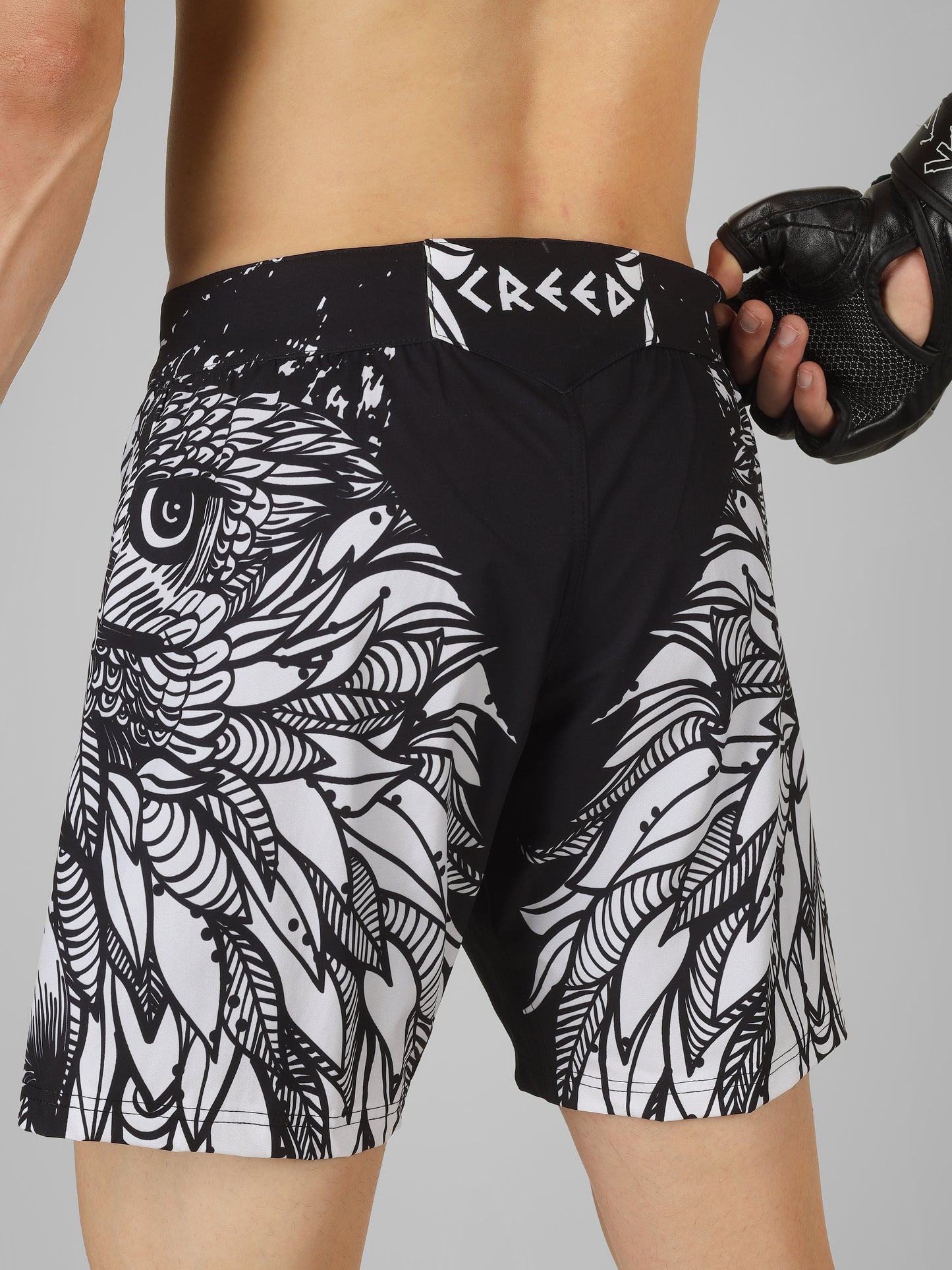 Creed Spartan Fight Shorts - Twin Eagle Design ( MMA, MUAY THAI, KICK BOXING, BOXING, BJJ )