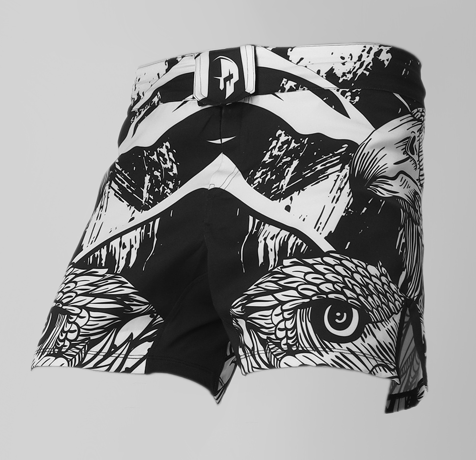Creed Draco MMA Shorts  for Men – Twin Eagles Design